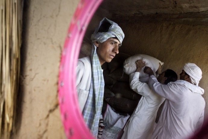 Local wheat market, Herat  - © Giulio Napolitano