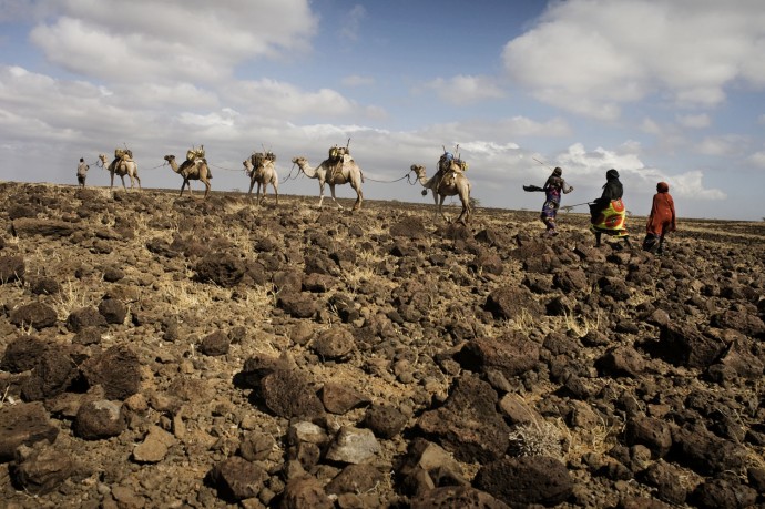 Camels on the way to the water source  - © Giulio Napolitano