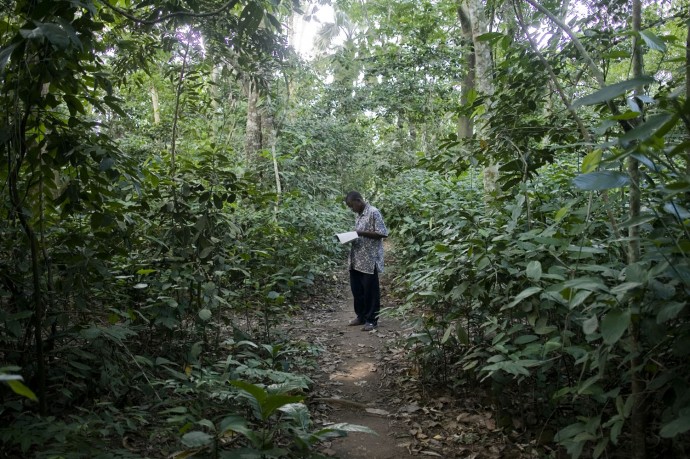 A student in the Botanic Garden of the University revise his notes - © Giulio Napolitano