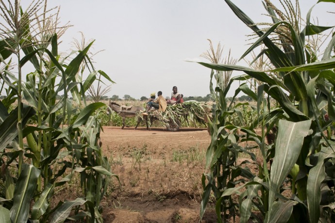 A family on the way back from work in the fields - © Giulio Napolitano