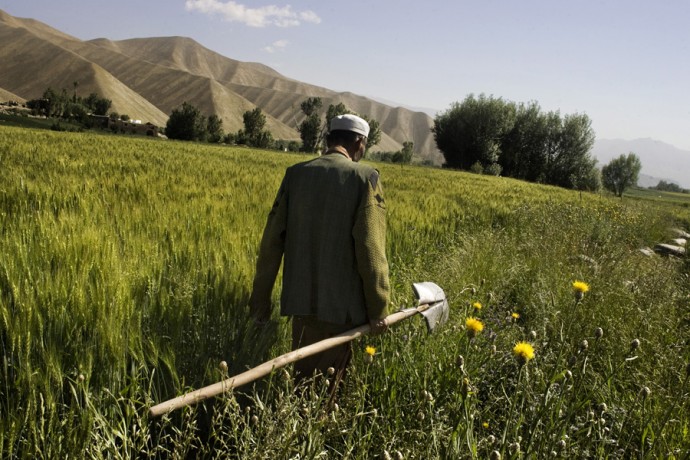 A farmer goes back home after work, Foladi valley, Bamyan - © Giulio Napolitano