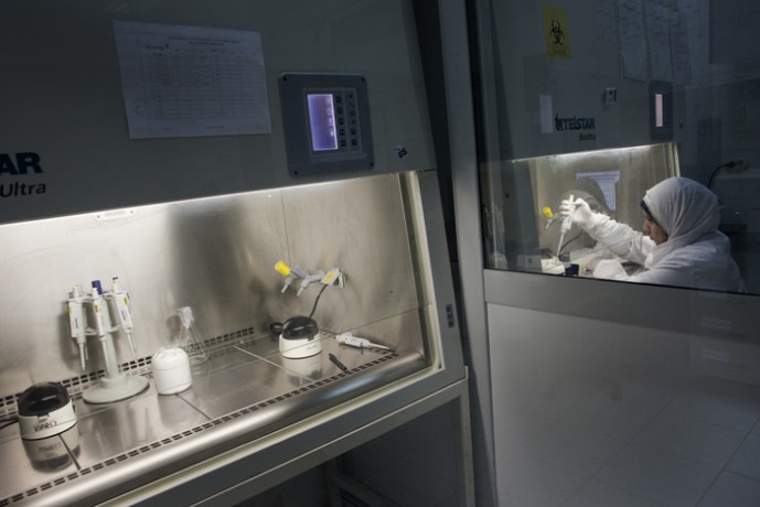 Animal Health Research Institute, testing the presence of avian flu, Cairo.  - © Giulio Napolitano