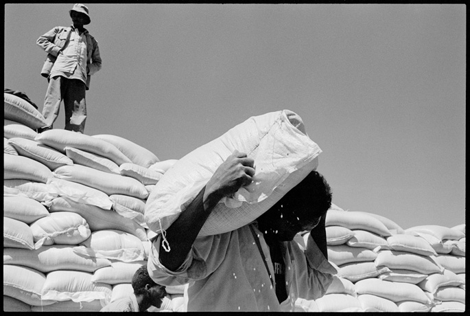 World Food Programme (WFP) seed distribution on the way to Mendefera - © Giulio Napolitano